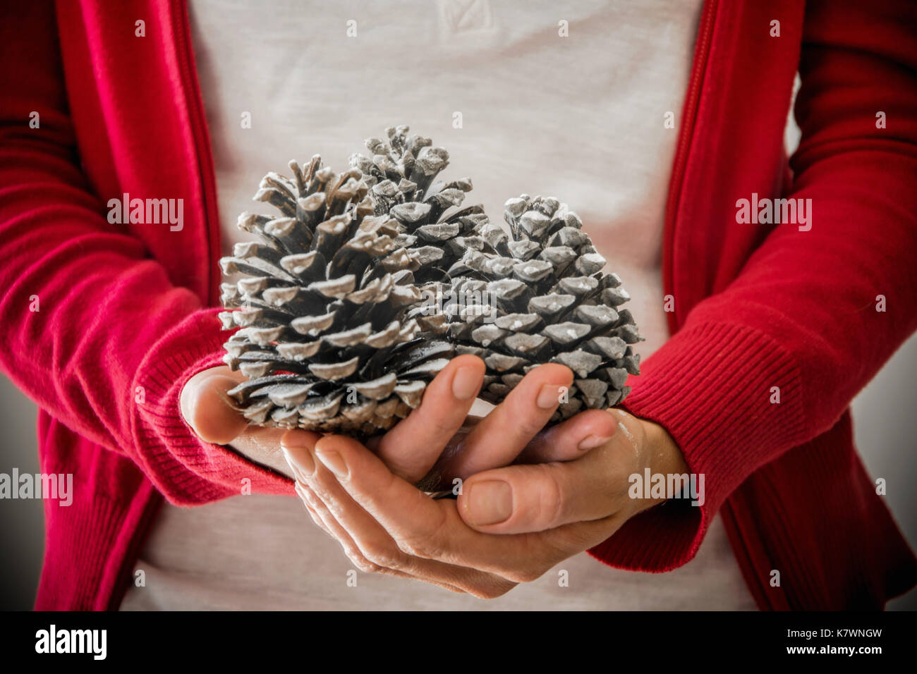 La donna trattiene pigne Foto Stock