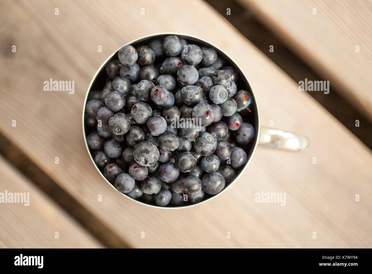 Vecchio graffiato in acciaio inox tazza riempita con appena raccolte di mirtillo selvatico, veranda in legno Foto Stock