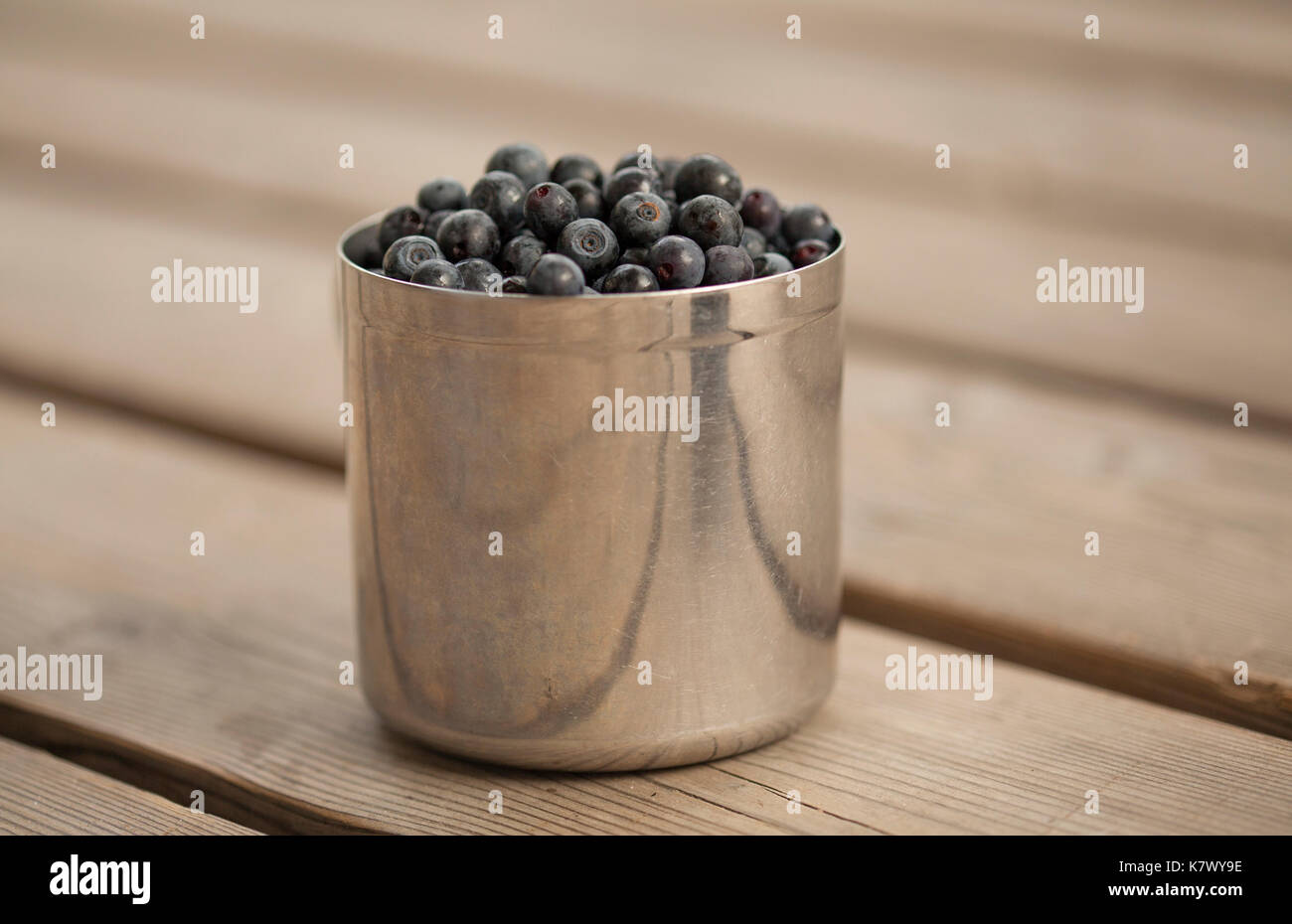 Vecchio graffiato in acciaio inox tazza riempita con appena raccolte di mirtillo selvatico, veranda in legno Foto Stock