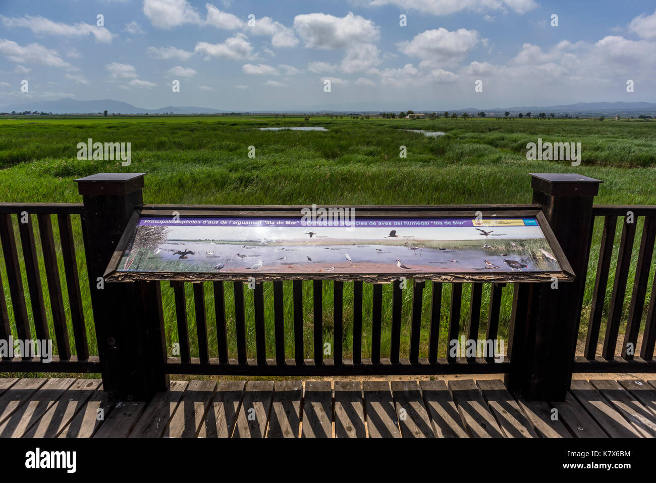 Parte della riserva naturale badia del fangar, delta del fiume Ebro, Spagna 2017 Foto Stock