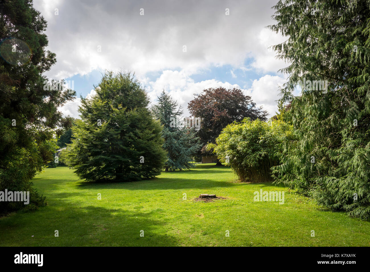 Gli alberi del parco di casa Quex, Kent, Regno Unito Foto Stock