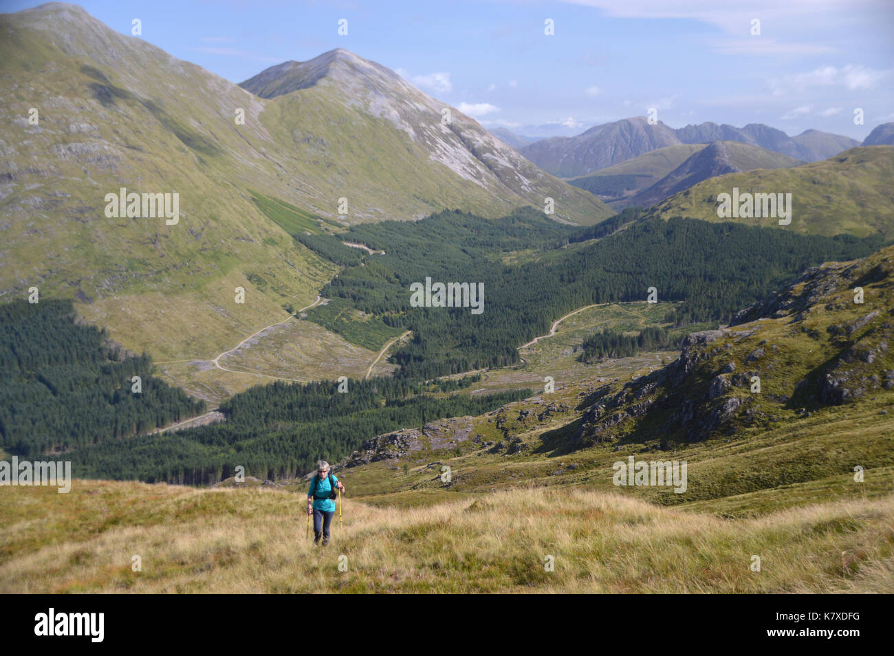 Lone fellwalker femmina salire la montagna scozzese corbett fraochaidh gleann sopra un fhiodh con la munro sgorr dhearg in background. Foto Stock