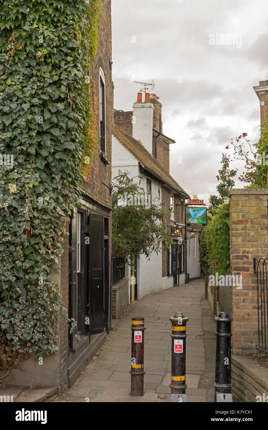 La colomba, Hammersmith Foto Stock