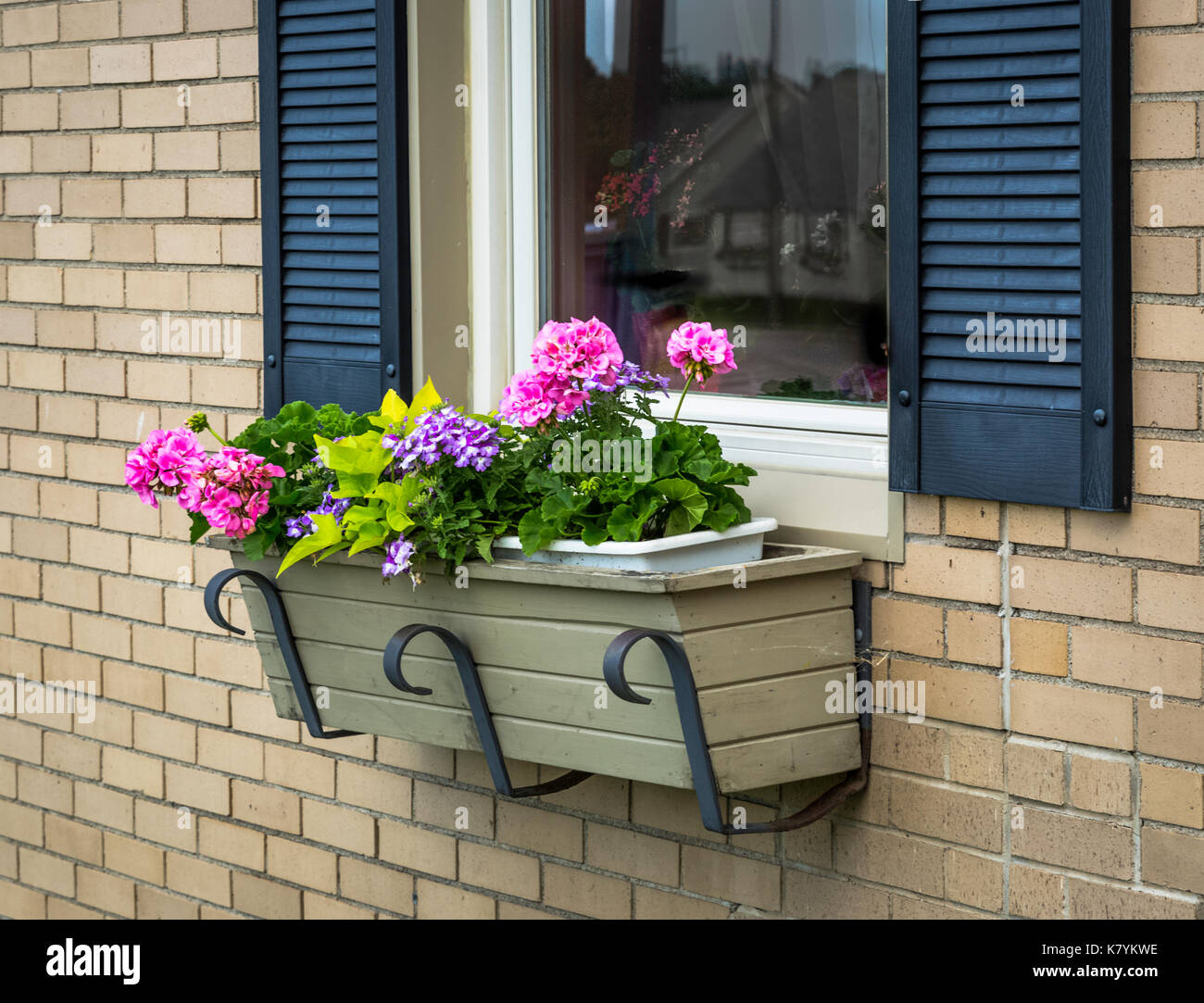 Finestra fioriera riempita con gerani e piante annue di estate contro un muro di mattoni Foto Stock