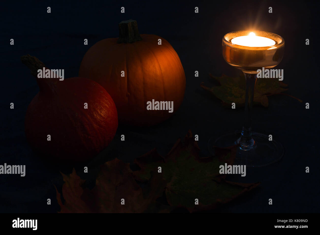 Set 4 Lanterne Luminose Di Halloween Per Esterni | Lanterne A Forma Di Zucca, Strega, Scheletro E Spaventapasseri, Con Candela LED A Batteria, Alte 18 Cm, Impermeabili