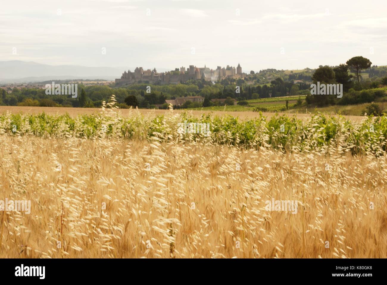 Signora in Carcassonne Francia Fort Cataro Foto Stock