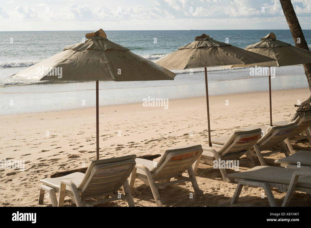 Bella spiaggia tropicale con sedie a sdraio e parasosl. vacanze Concetto di vacanza Foto Stock