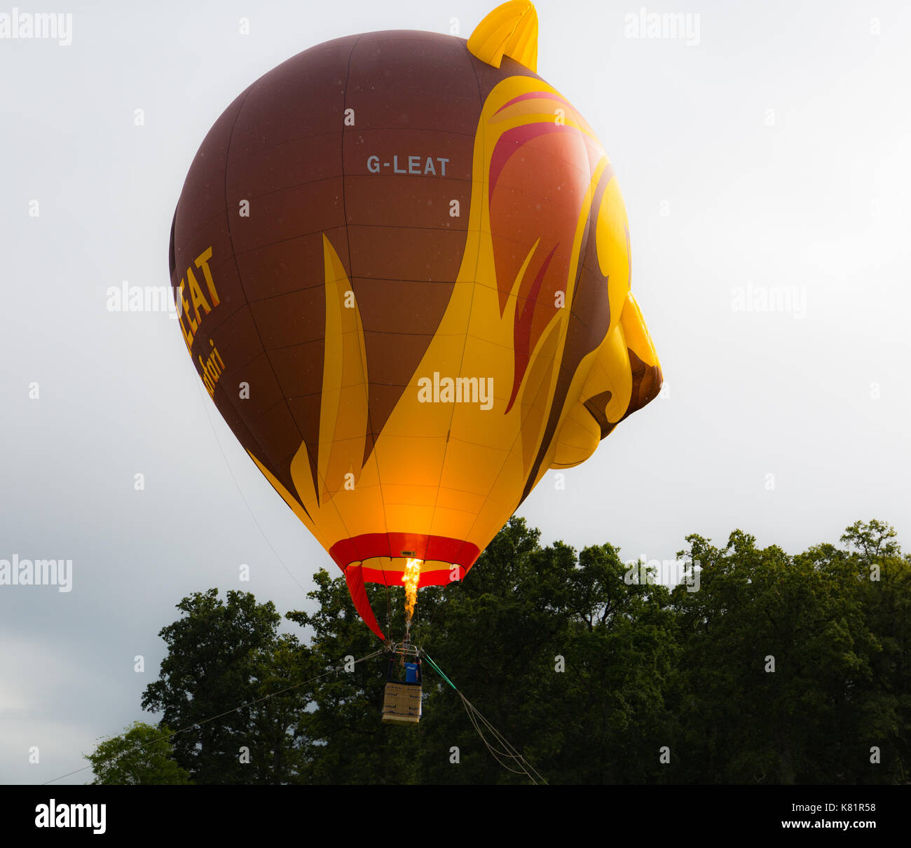 Longleat Sky Safari presso Loingleat parco di safari in Warminster Wilts. Foto Stock