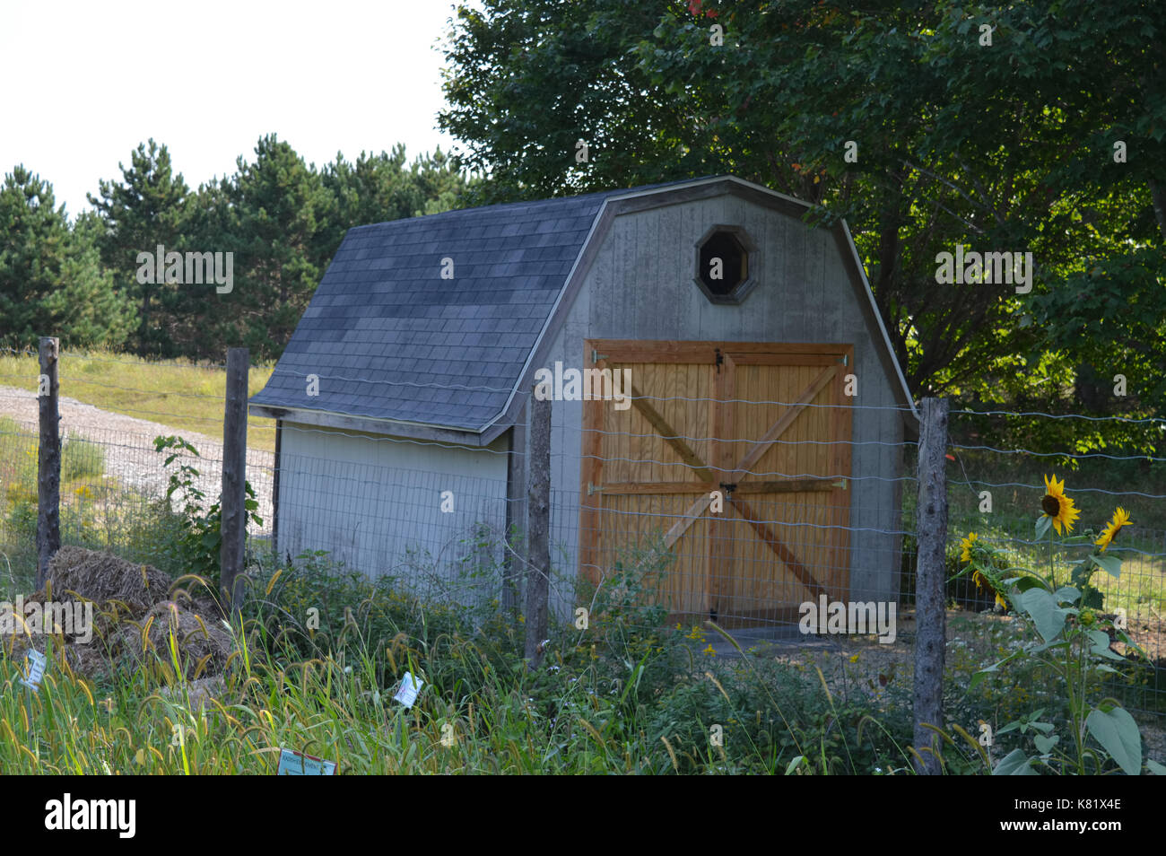 capannone di stoccaggio Foto Stock