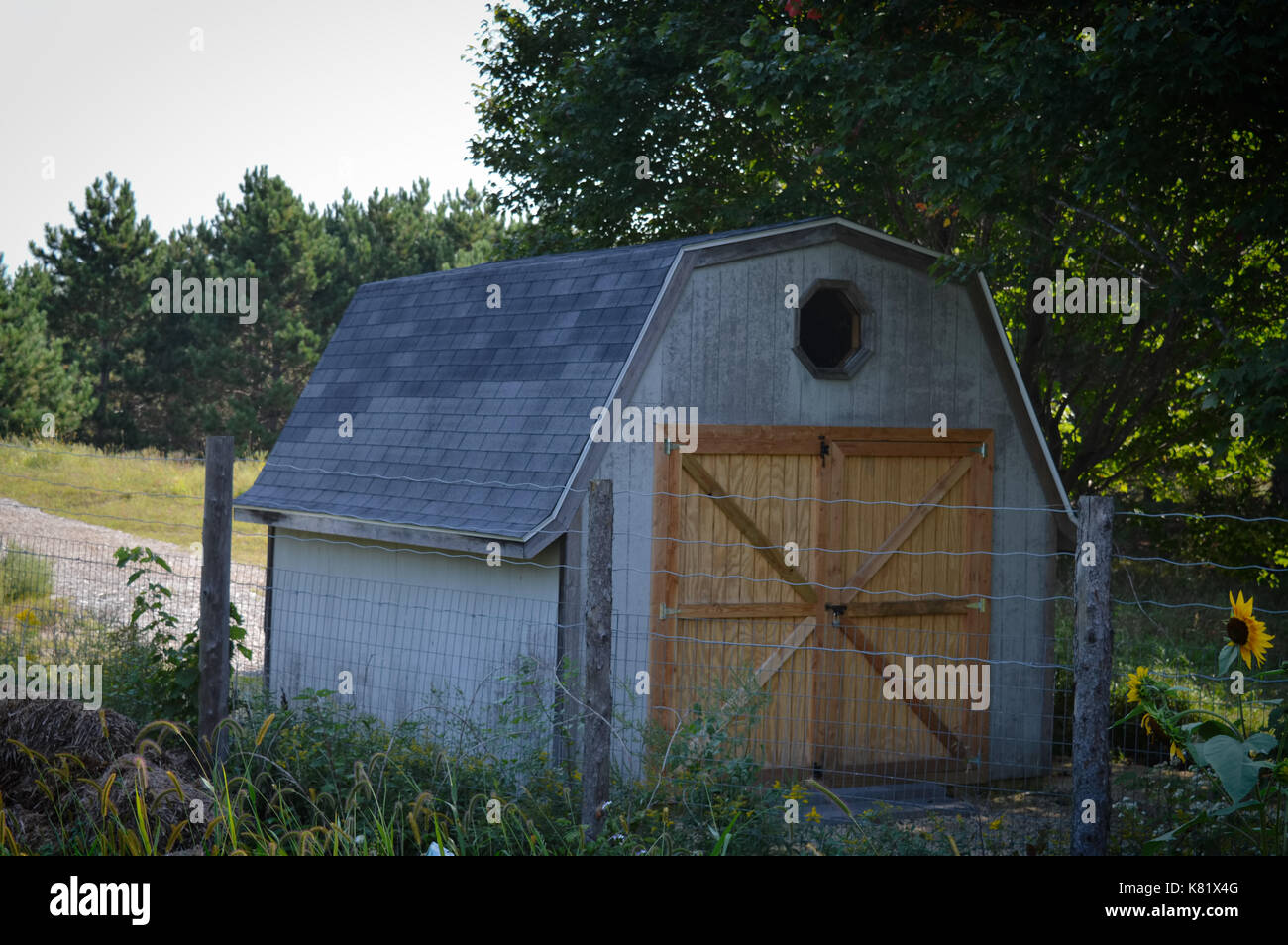 capannone di stoccaggio Foto Stock