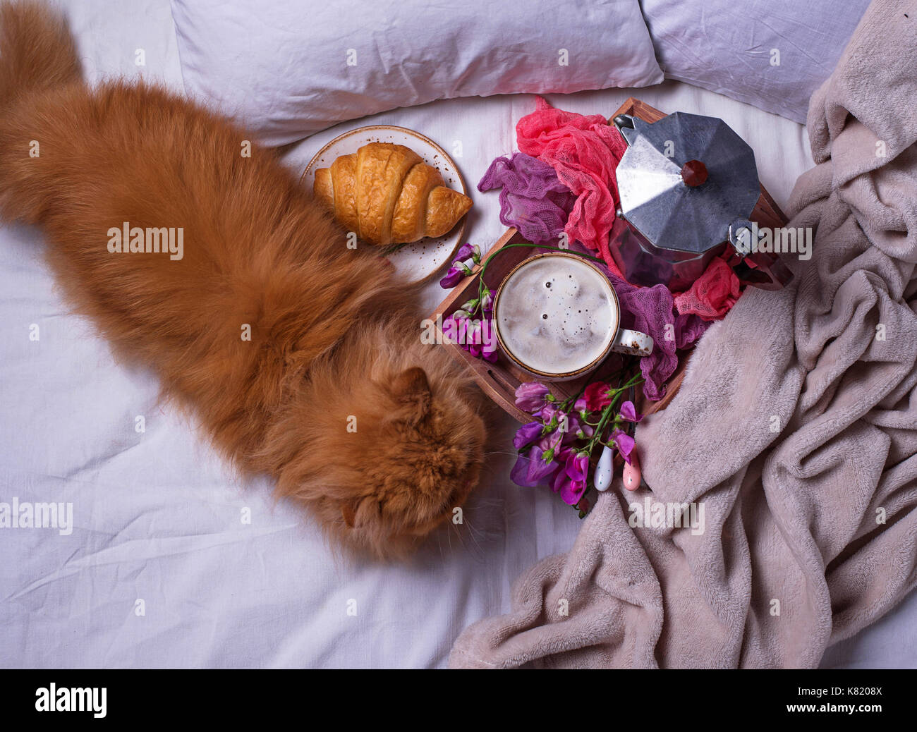 La prima colazione a bad con croissant e caffè Foto Stock