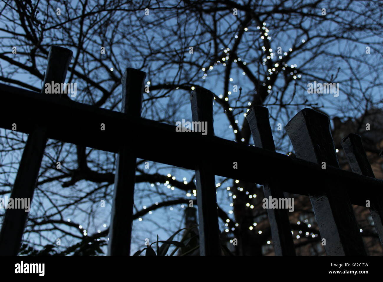 Macro shot di recinzione con le luci fairy Foto Stock