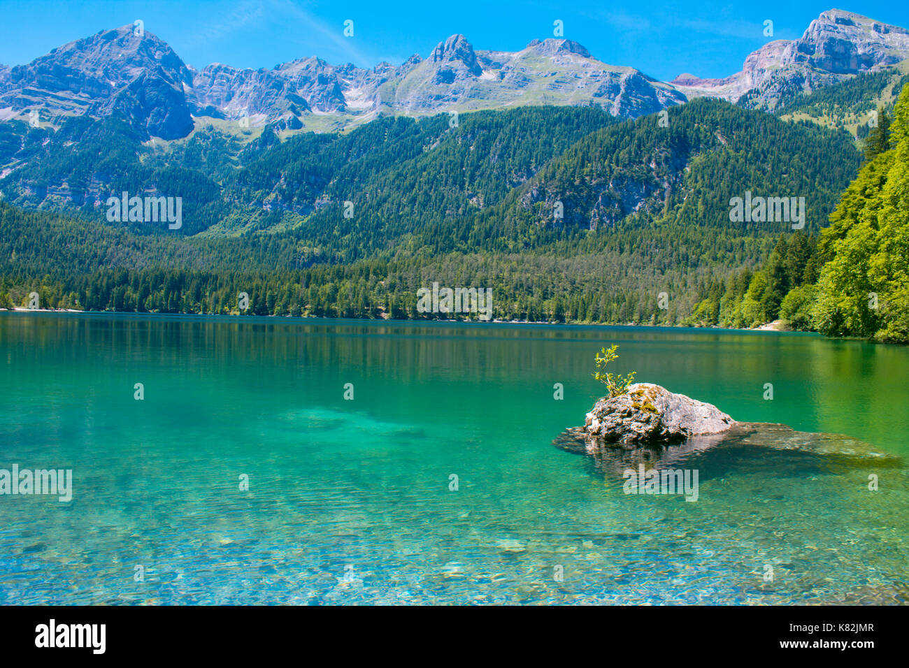 Il lago di Tovel Trentino Alto Adige, italiail acque cristalline del lago di montagna Foto Stock