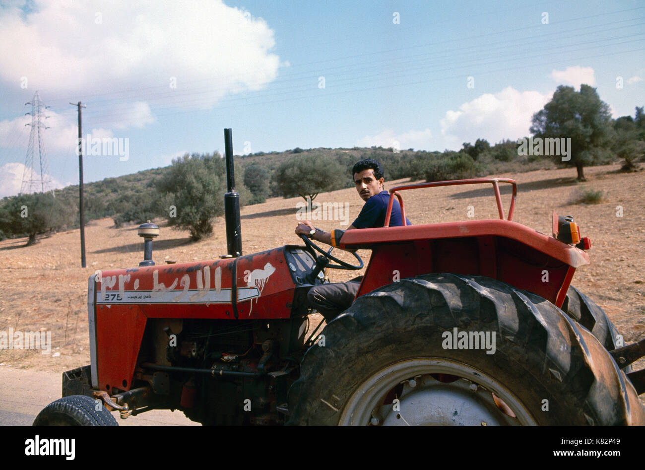 Agricoltore sul suo trattore North Central Coast della Libia - i suoli fertili di montagne verdi di cyrenica nel nord area centrale della Libia, a est di Bengasi. Foto Stock