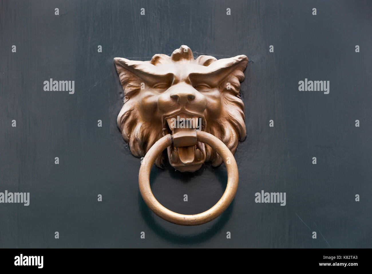 Paracolpi in metallo sul grigio di una porta di legno Foto Stock