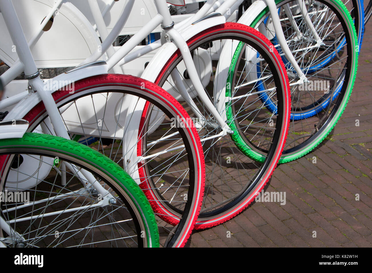 Le biciclette Bianchi con gomme colorate in una fila in Paesi Bassi Foto  stock - Alamy