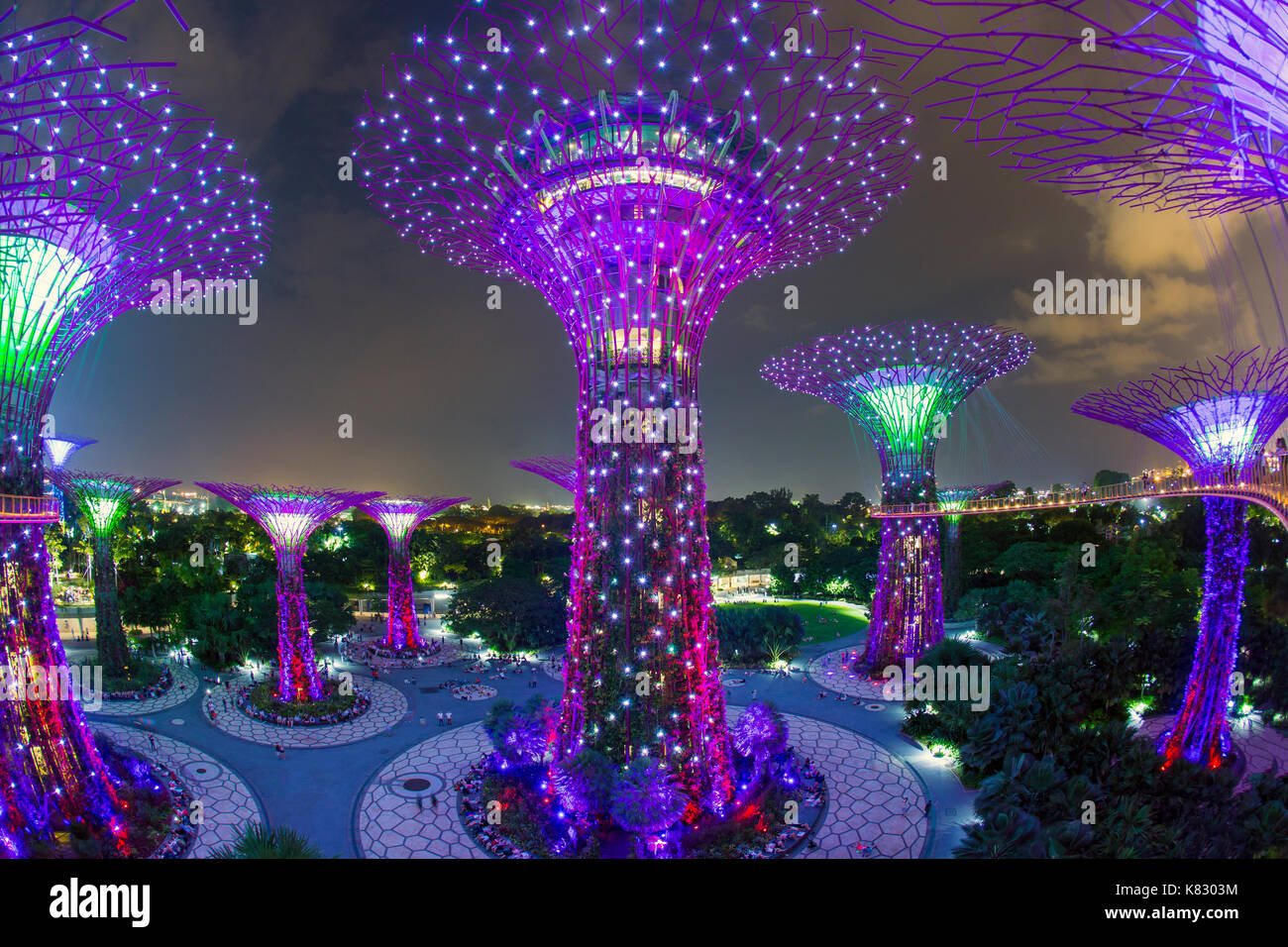 Supertrees presso i giardini dalla baia, illuminata di notte, Singapore, Sud-est asiatico Foto Stock