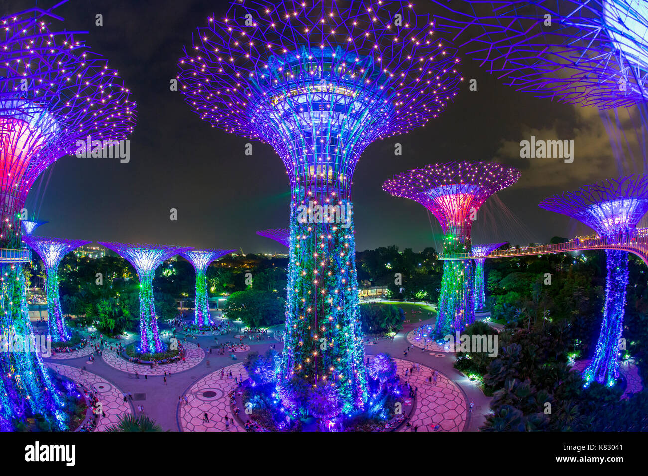 Supertrees presso i giardini dalla baia, illuminata di notte, Singapore, Sud-est asiatico Foto Stock