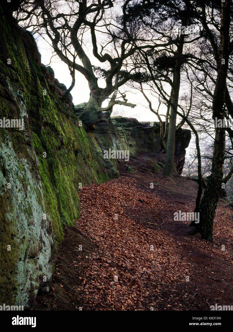 Visualizzare NW di roccia arenaria faccia se della Merlin's bene su Alderley Edge boscosa scarpata, Cheshire: un paesaggio ricco di miti e leggende. Foto Stock