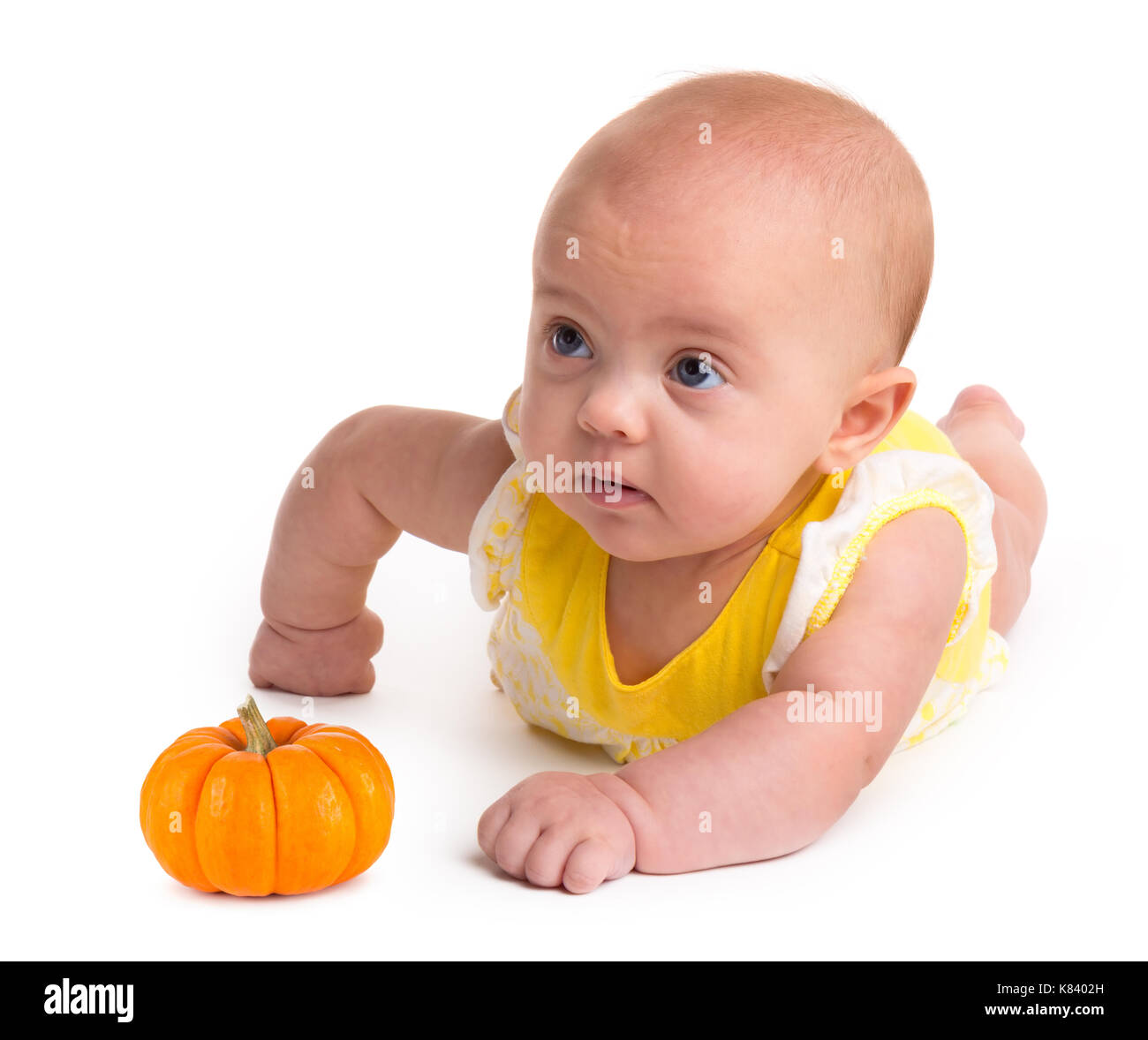 Bambina con una zucca piccola isolata su uno sfondo bianco Foto Stock