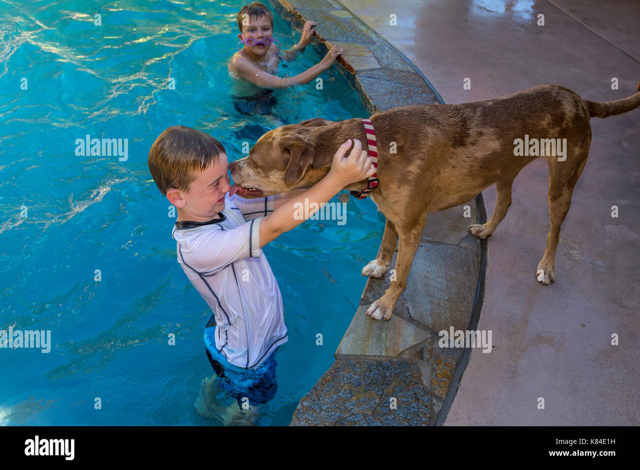 Mix-razza catahoula leopard dog baciare Ragazzo caucasico, cane baciare Ragazzo, boy, bambino, piscina di acqua dolce, Castro Valley, California Foto Stock