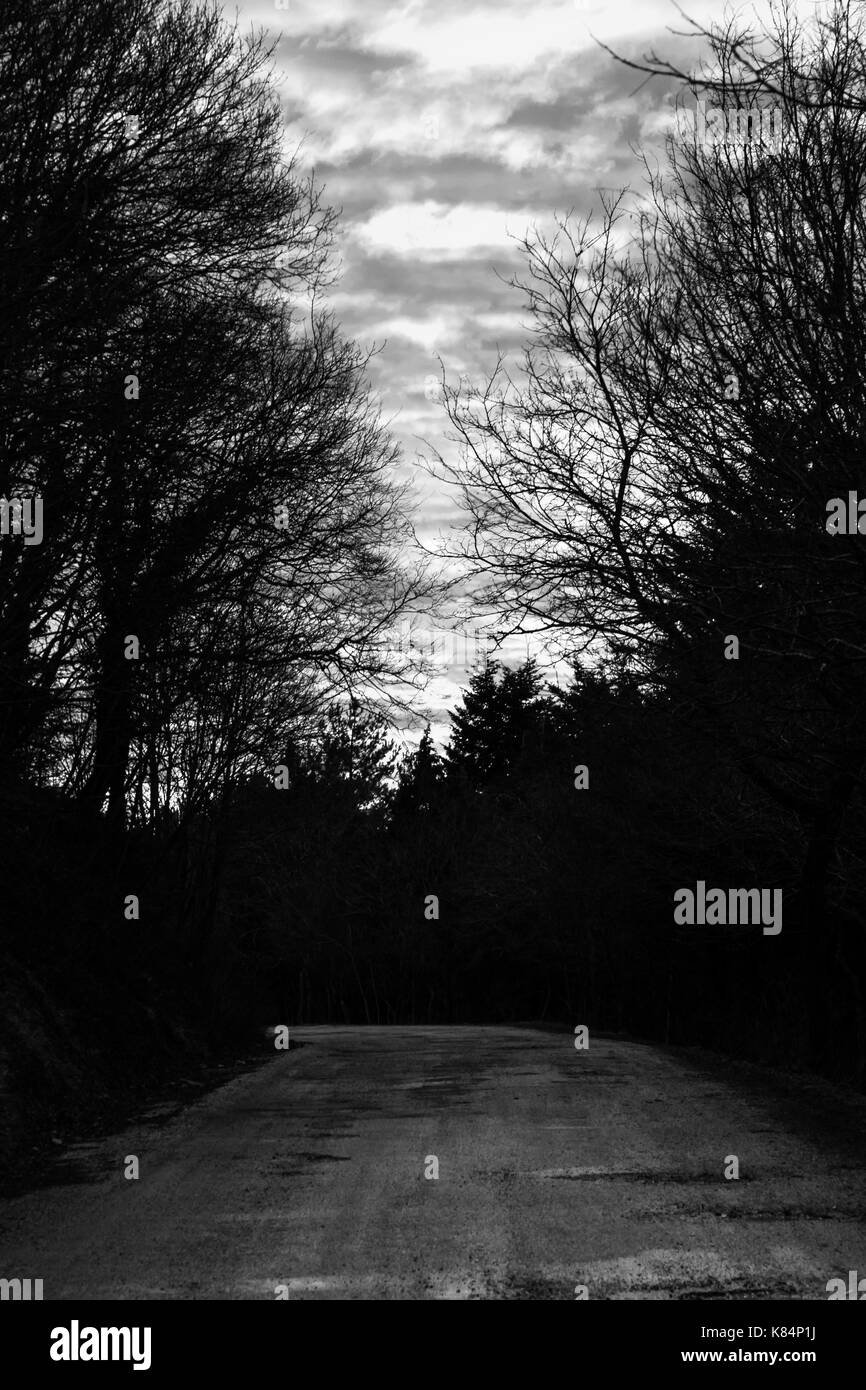 Una strada in mezzo di alberi al di sotto del cielo nuvoloso al tramonto Foto Stock