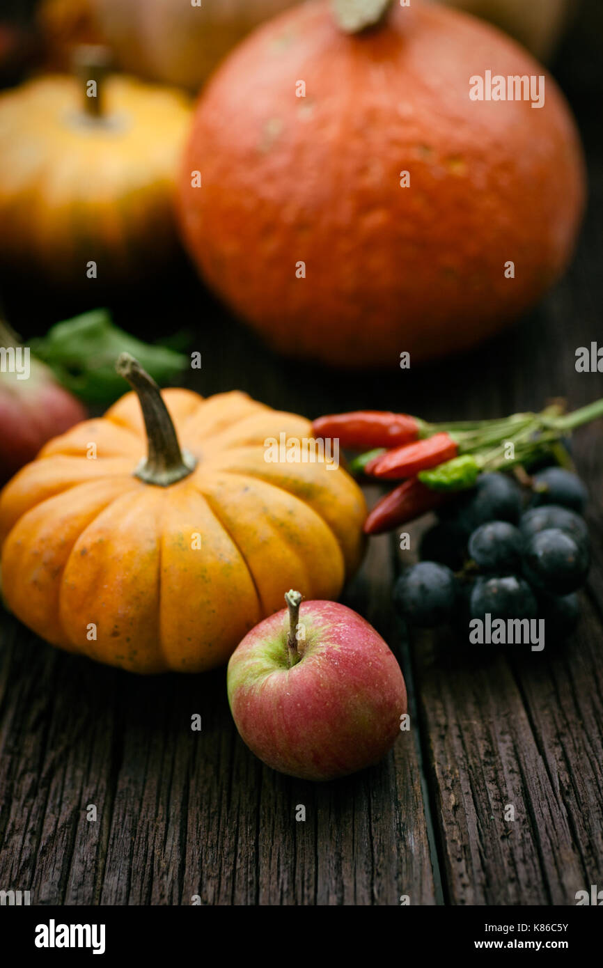 Autunno messa in tavola con zucche. Cena di ringraziamento e decorazione d'autunno. Foto Stock