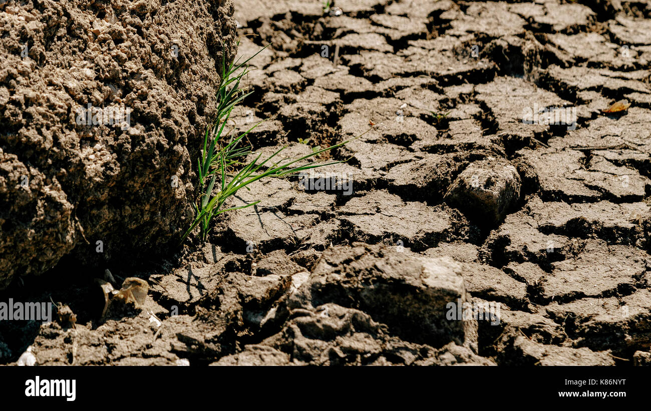 Incrinature nel colpite dalla siccità messa a terra Foto Stock