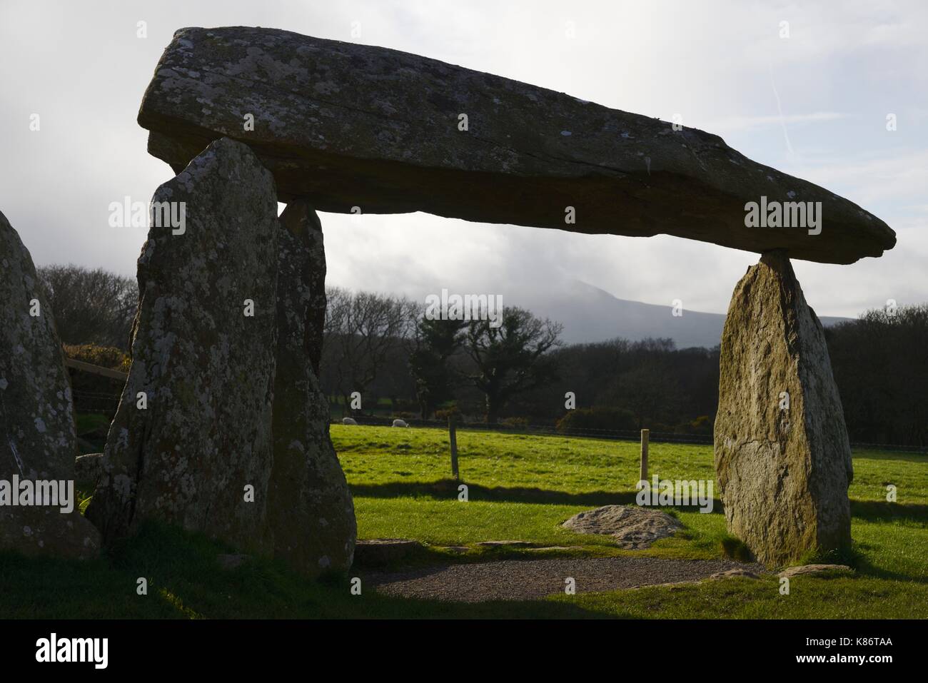 Pentre Ifan megalitiche, chambered neolitico tomba o portale dolmen, Pembrokeshire, Wales, Regno Unito Foto Stock