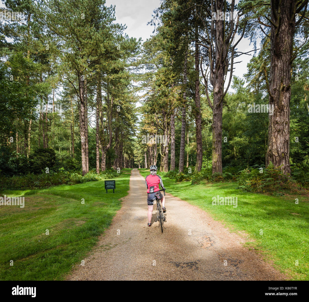Escursioni in bicicletta nella Royal Sandringham Estate, Norfolk. Foto Stock