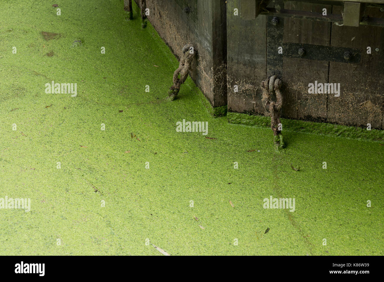 Lenti d'acqua sul fiume Stour al Mulino di Flatford, Suffolk, Regno Unito. Foto Stock