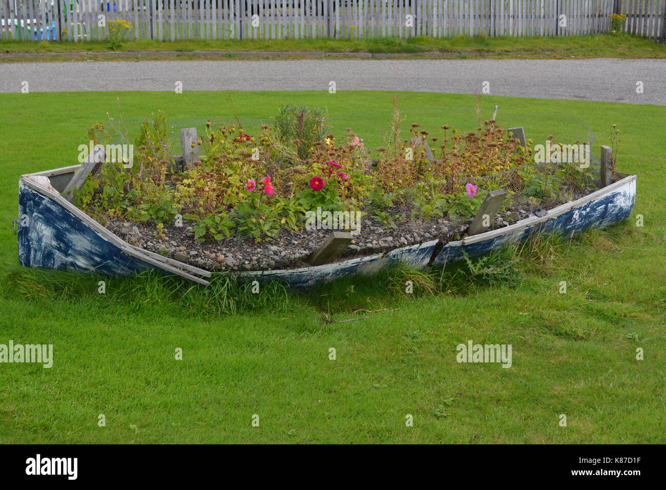Vecchia barca a remi sul prato usato come letto di fiori re uso alternativo di riconvertire la ri-fini paesaggistici a nigg in Scozia Foto Stock