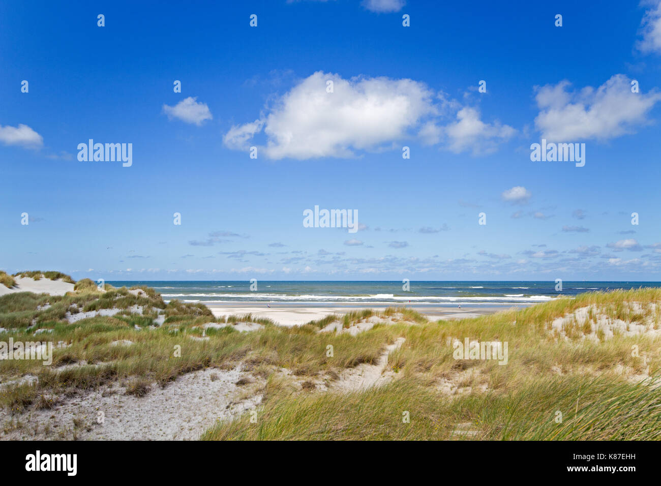 Vista sulle dune, spiaggia e mare Foto Stock