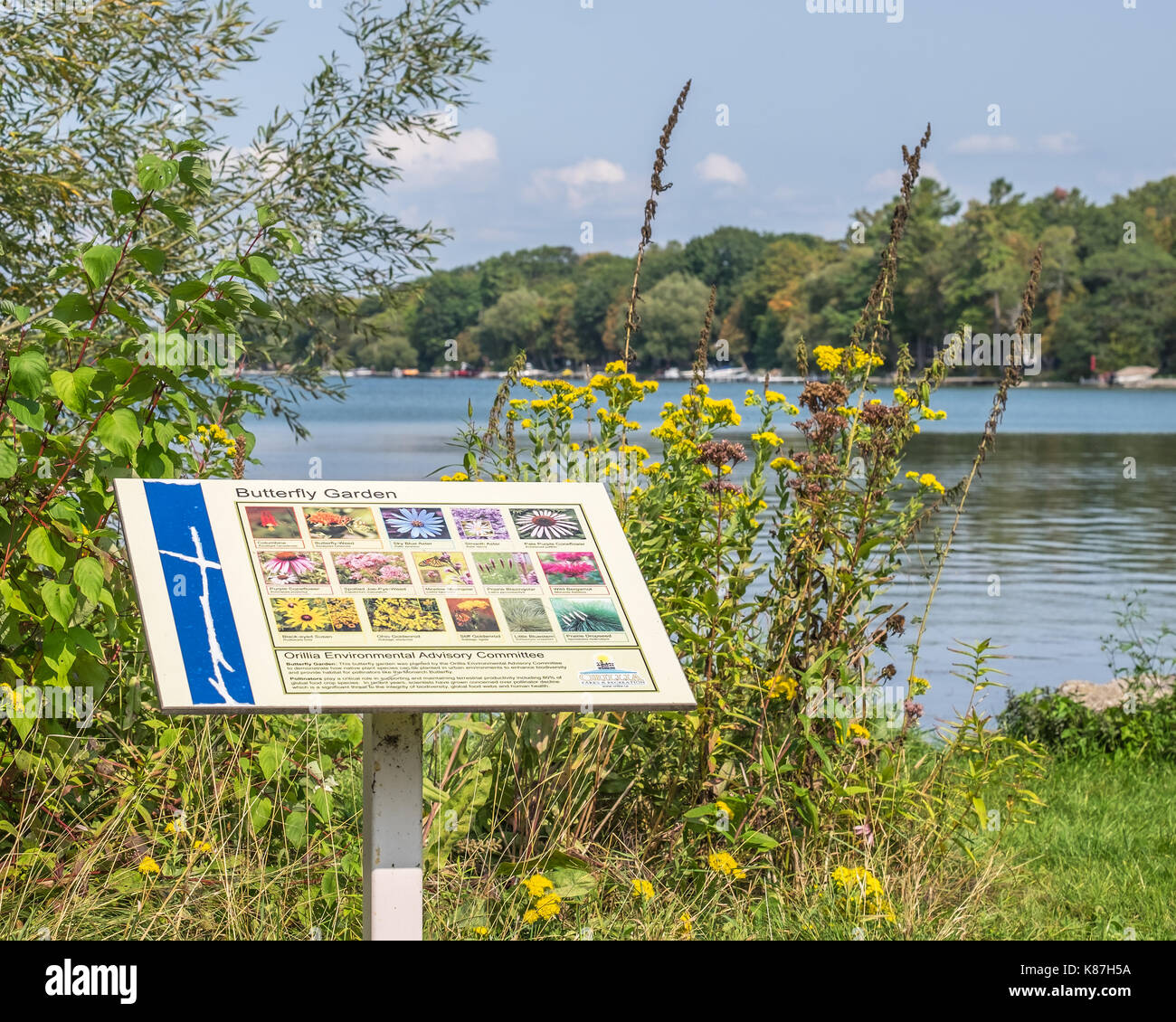 Un piccolo giardino naturale nel parco tudhope orillia ontario canada. specie di fiori nel giardino sono scelti per la loro capacità di attirare diversi tipi Foto Stock