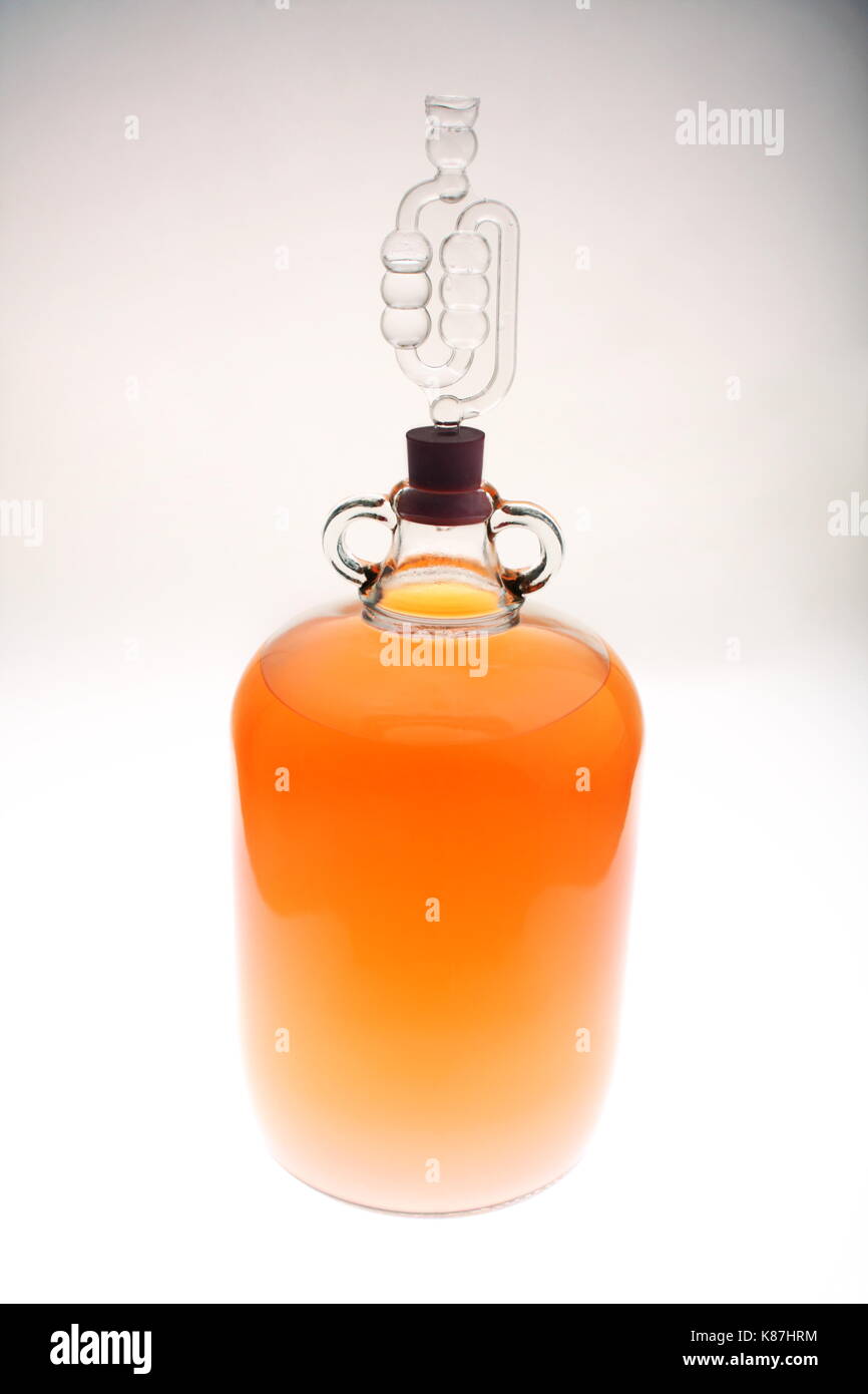 Peach vino in un demijohn con airlock in luogo, fermentazione ancora attivo. Foto Stock