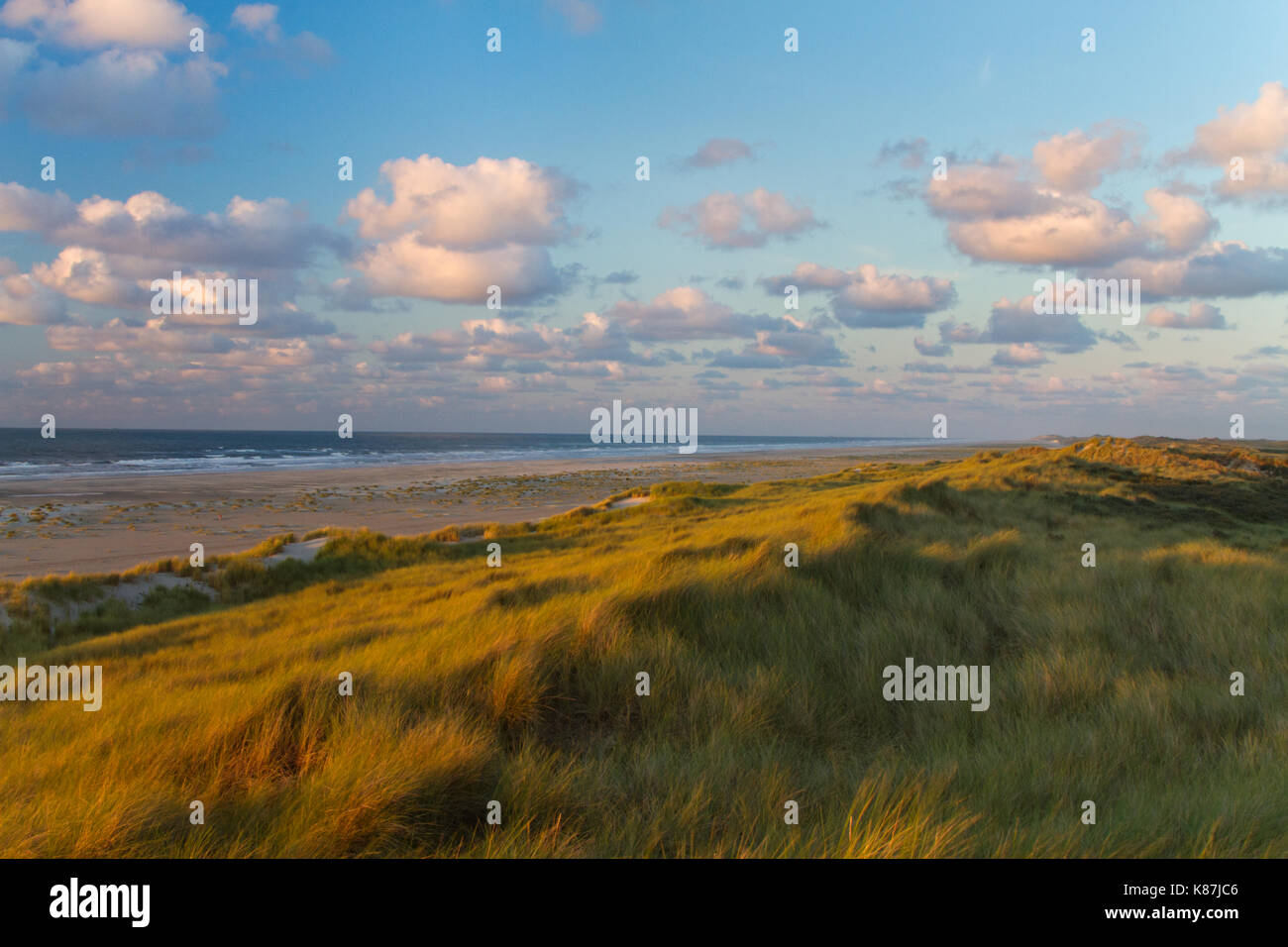 Dune cresciuto con erba Marram al tramonto Foto Stock