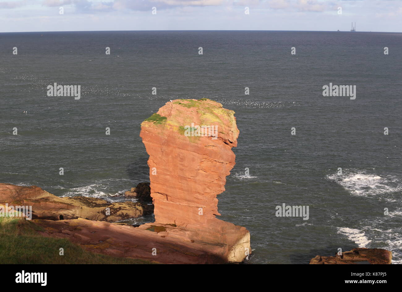 Deil's heid stack del mare al crepuscolo angus scozia settembre 2017 Foto Stock