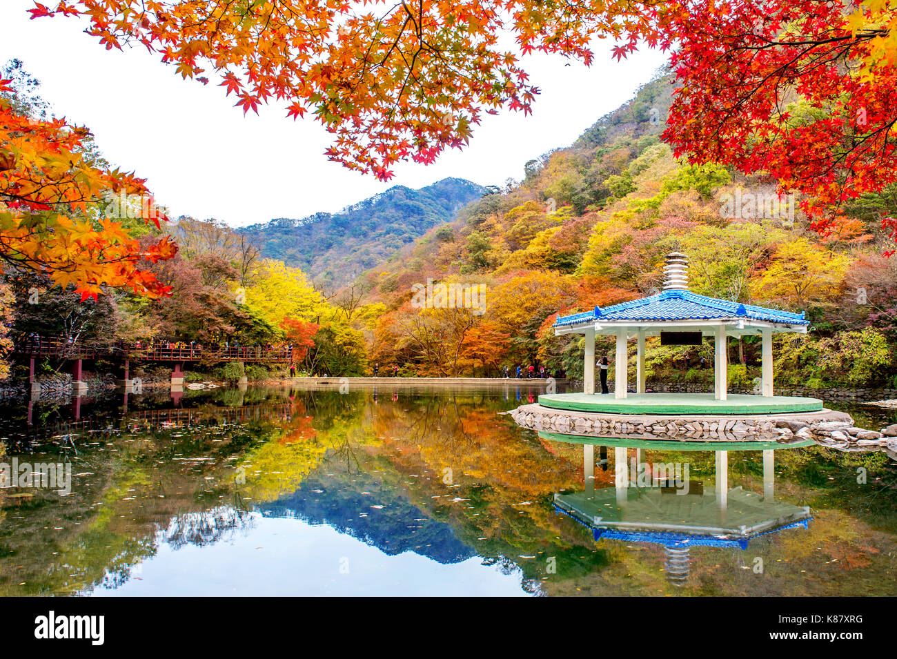 Autunno in naejangsan national park, la corea del sud. Foto Stock