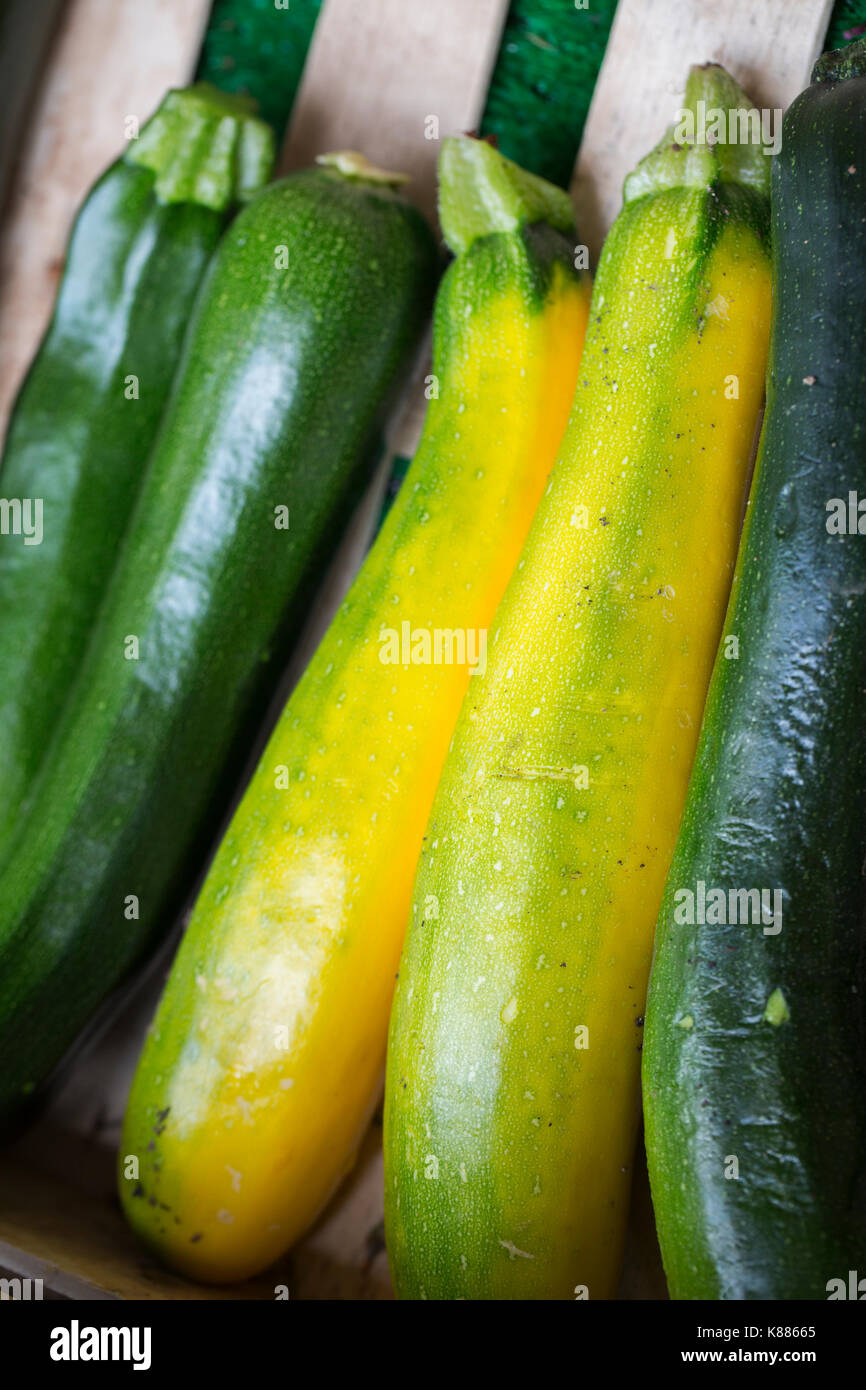 Angolo alto close up di verde e giallo le zucchine. Foto Stock