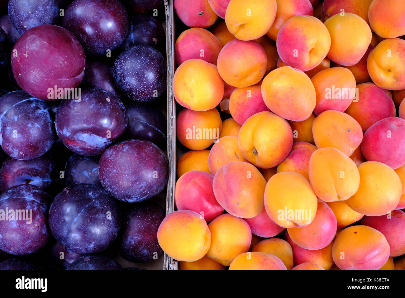 Fruit-Plums fresco e albicocche Foto Stock