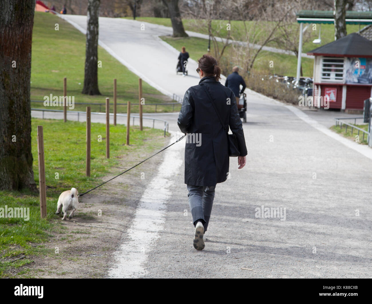 Proprietario del cane passeggiate con il cane in vasaparken Stoccolma 2017 Foto Stock
