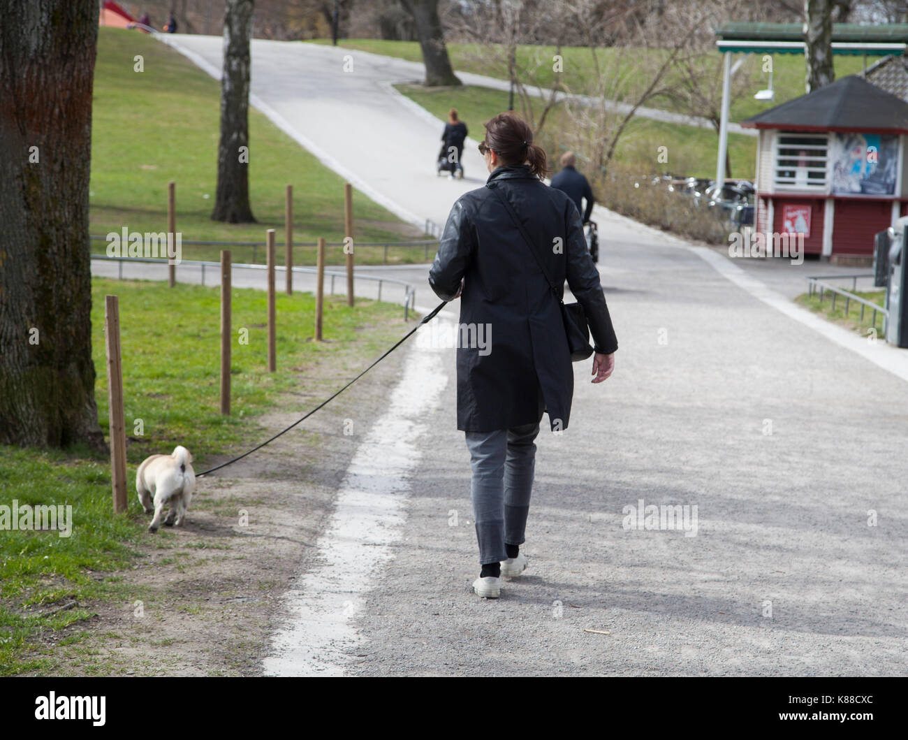 Proprietario del cane passeggiate con il cane in vasaparken Stoccolma 2017 Foto Stock