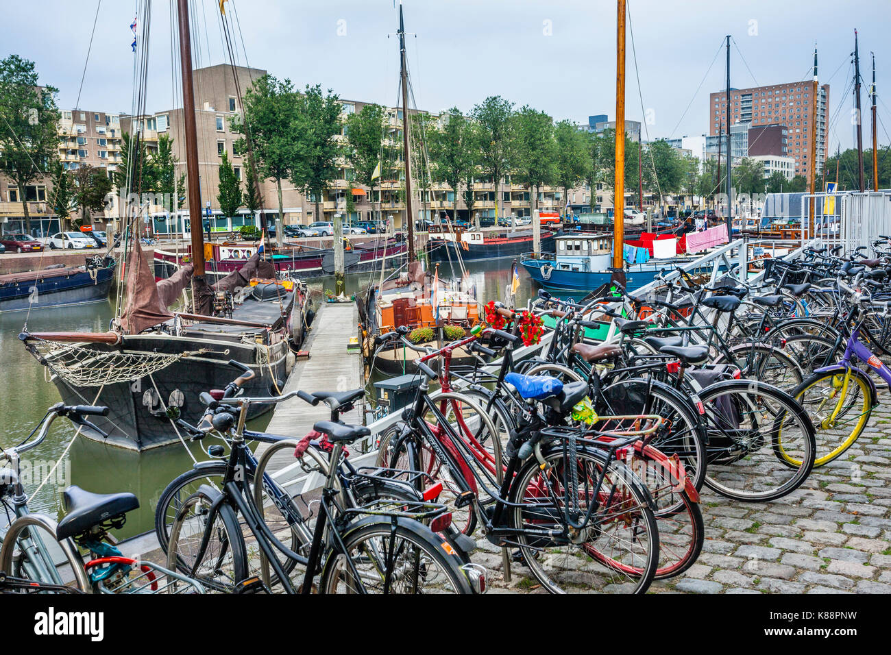 Paesi Bassi, South Holland, Rotterdam, quartiere marittimo, il parcheggio per le bici a Haringvliet, parte di Rotterdams vecchio porto che una volta era dedicato il f Foto Stock