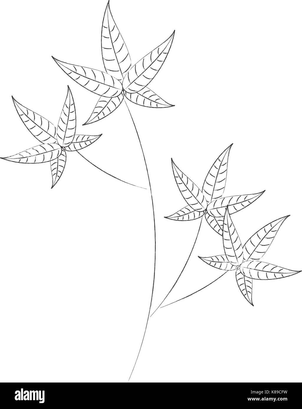 Autunno del ramo di albero foglie fogliame immagine botanica Illustrazione Vettoriale