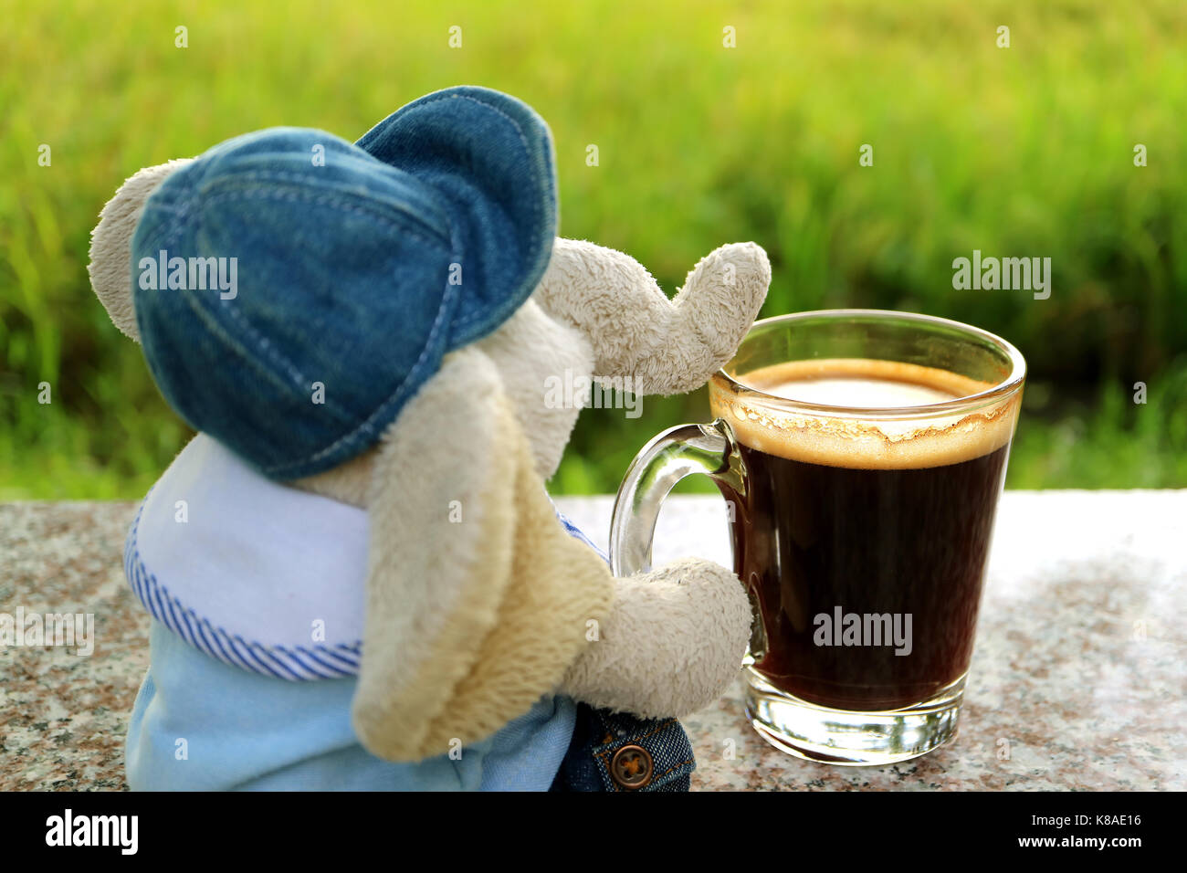 Rilassatevi con una tazza di caffè, un elefante bambola con caffè caldo presso la terrazza da luminose risaia Foto Stock