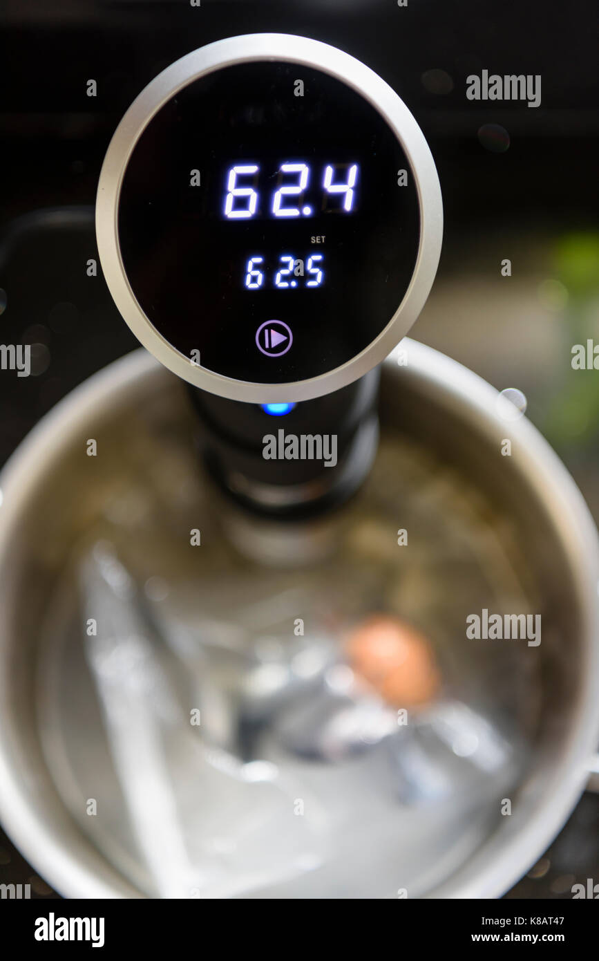 Sous Vide bagnomaria circolatore cuocere un uovo solo a 62.5C per un molto uova sode. Foto Stock