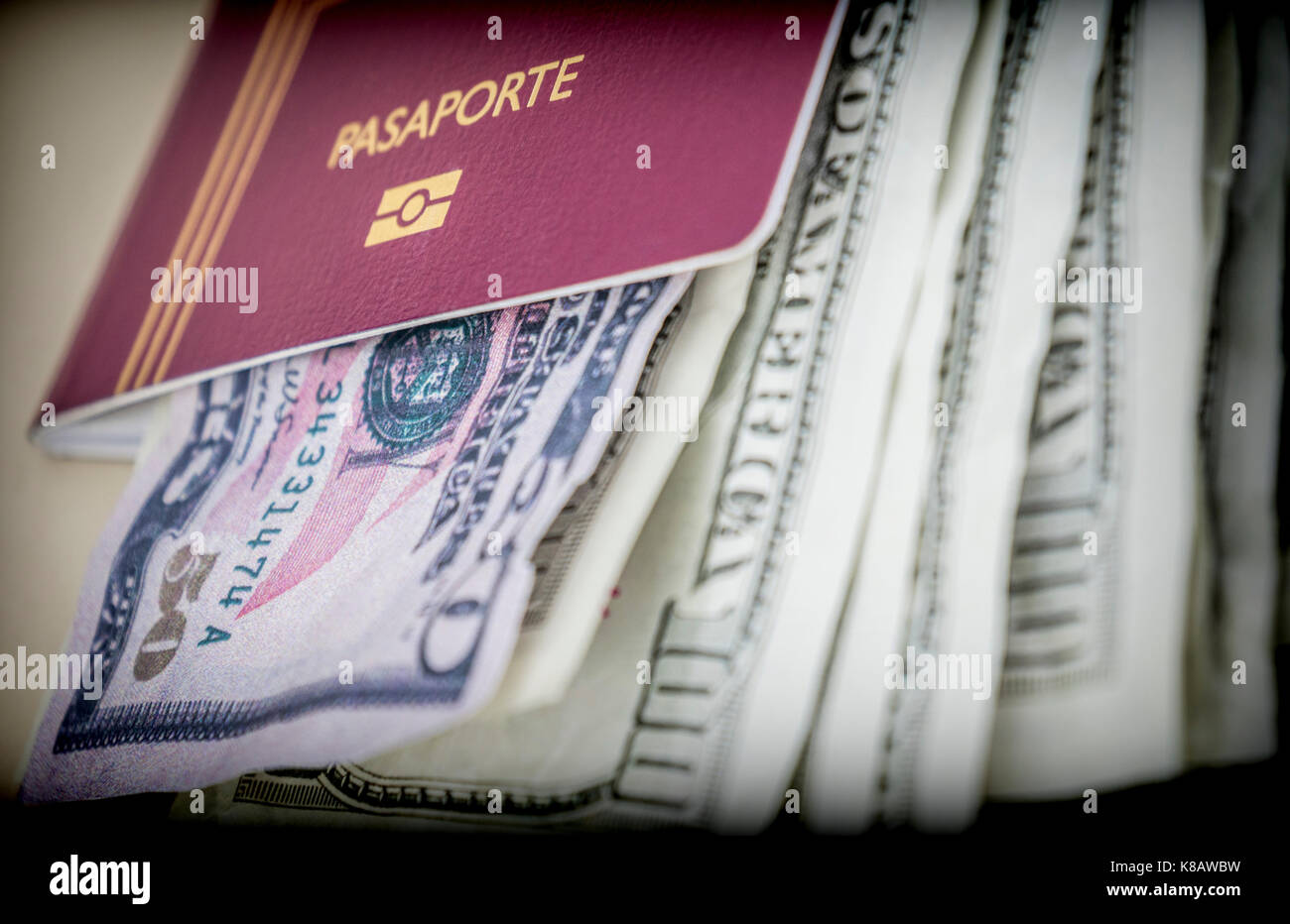 Alcuni americani biglietti di dollari all'interno di un passaporto Foto Stock