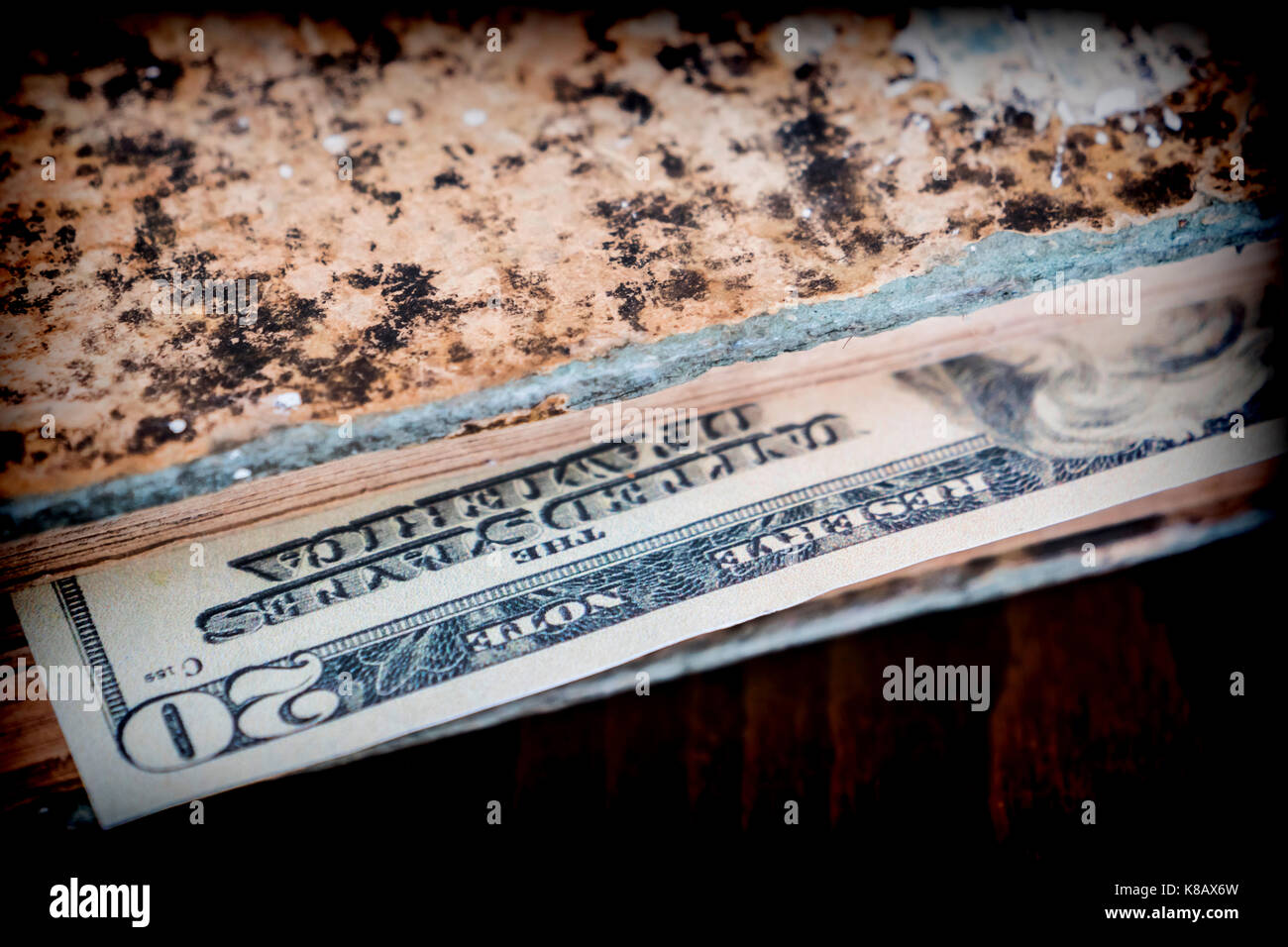 Bill di centinaia di dollari americani nascosti in un vecchio libro Foto Stock