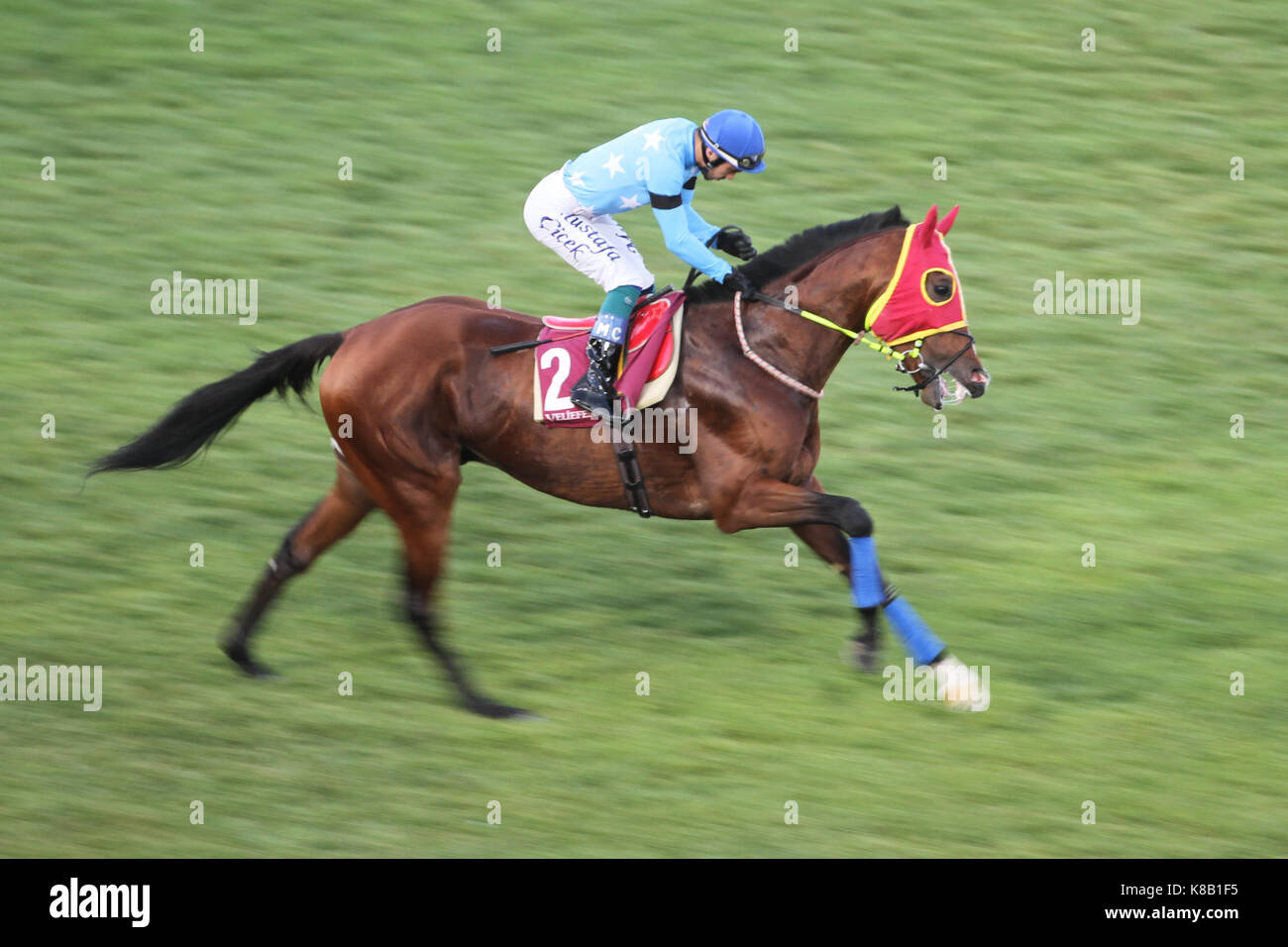 Istanbul, Turchia - Luglio 07, 2017: pilota non identificato come ottenere pronto per una corsa in Istanbul horce race, veliefendi Racetrack. Foto Stock