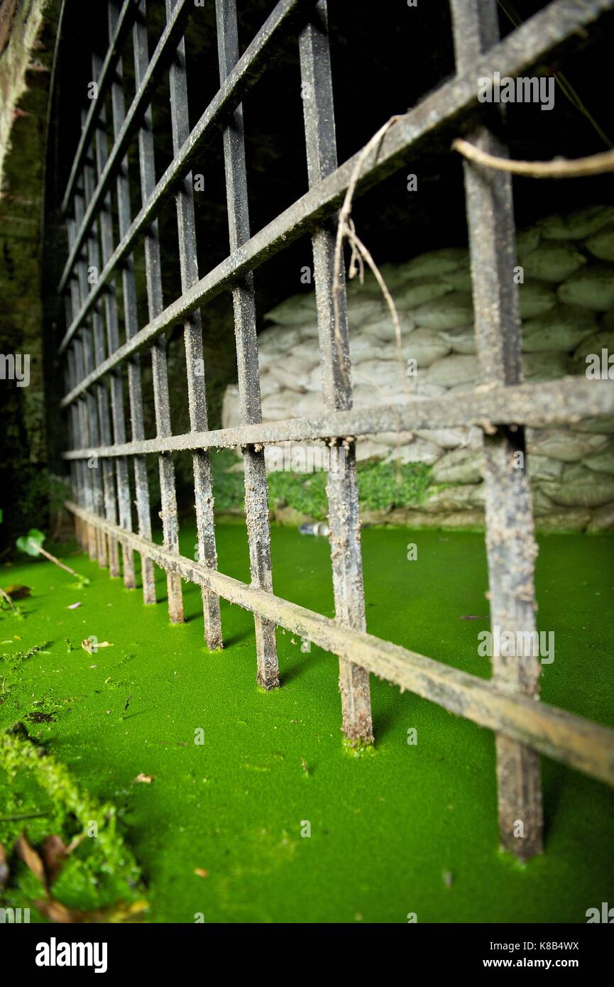 Il "delph, worsley, Manchester Foto Stock